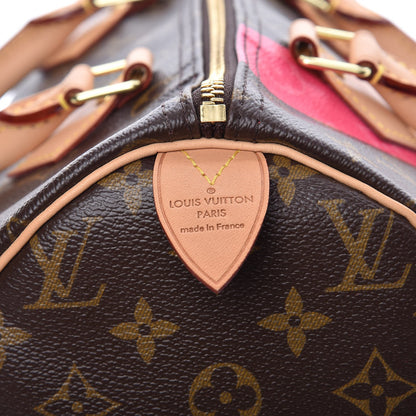 Louis Vuitton Monogram Speedy 30 V Grenade 7 of 8