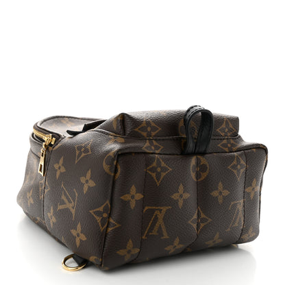 Louis Vuitton Monogram Palm Springs Backpack Mini 3 of 9