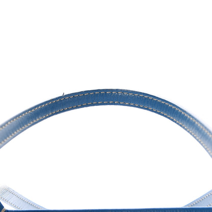 Goyard Goyardine Saint Louis PM Sky Blue 11 of 11