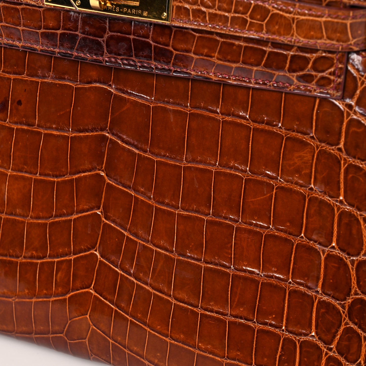 Shiny Niloticus Crocodile Kelly Sellier 28 Miel