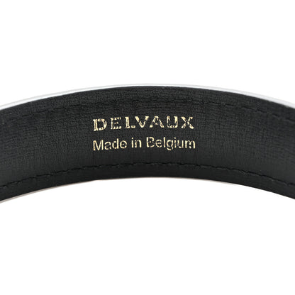 Delvaux Rodeo Calfskin Short Chain Strap Black 3 of 5