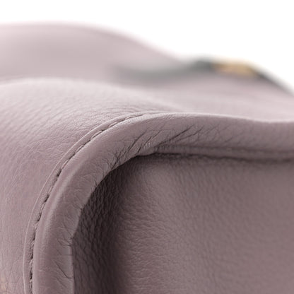 Loewe Calfskin Barroco Amazona 36 Lilac 10 of 12