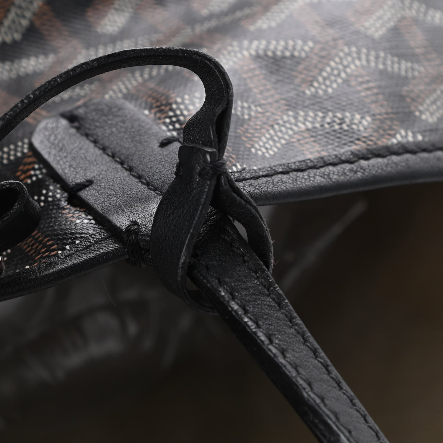 Goyard Goyardine Saint Louis PM Black 15 of 15