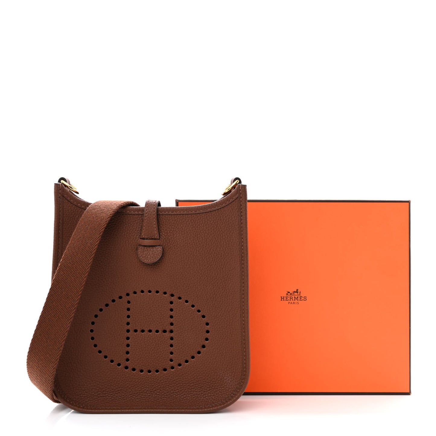 Taurillon Maurice Evelyne TPM Cacao