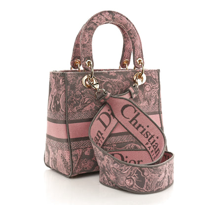 Christian Dior Canvas Toile De Jouy Embroidered Medium Lady D-Lite Gray Pink 2 of 9