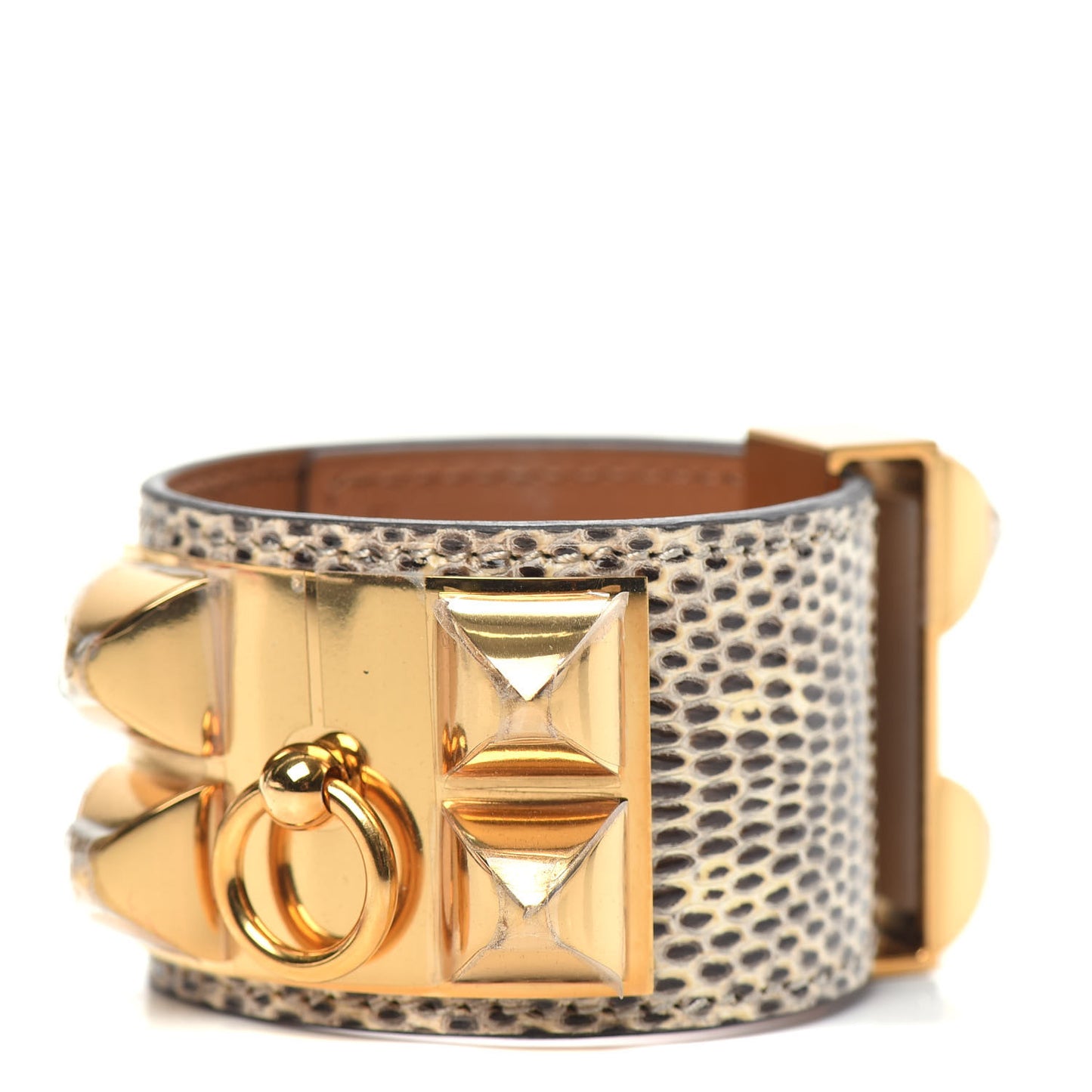 Lizard Collier De Chien CDC Bracelet T2 Ombre