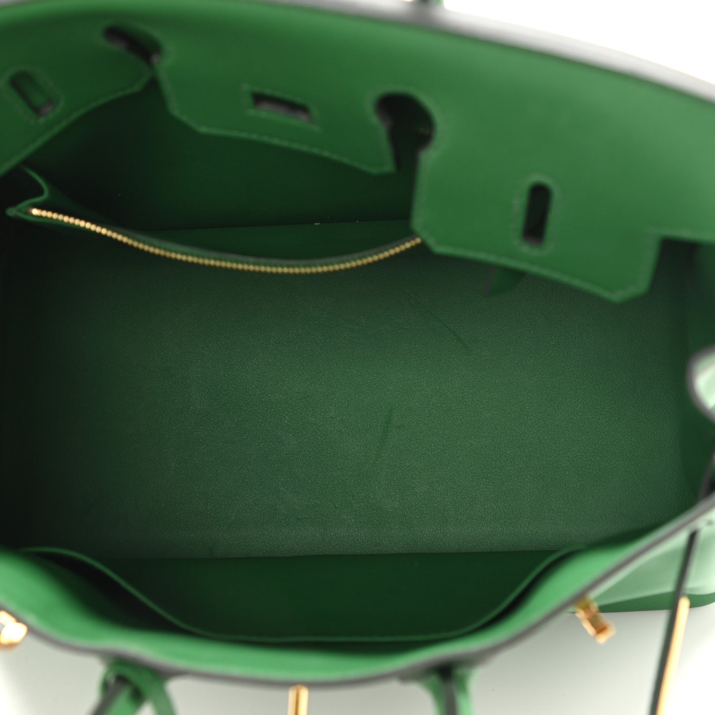Swift Birkin 25 Cactus