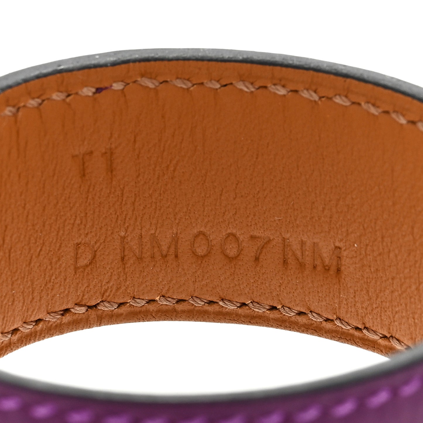 Evercolor Collier de Chien 24 Bracelet T1 Anemone