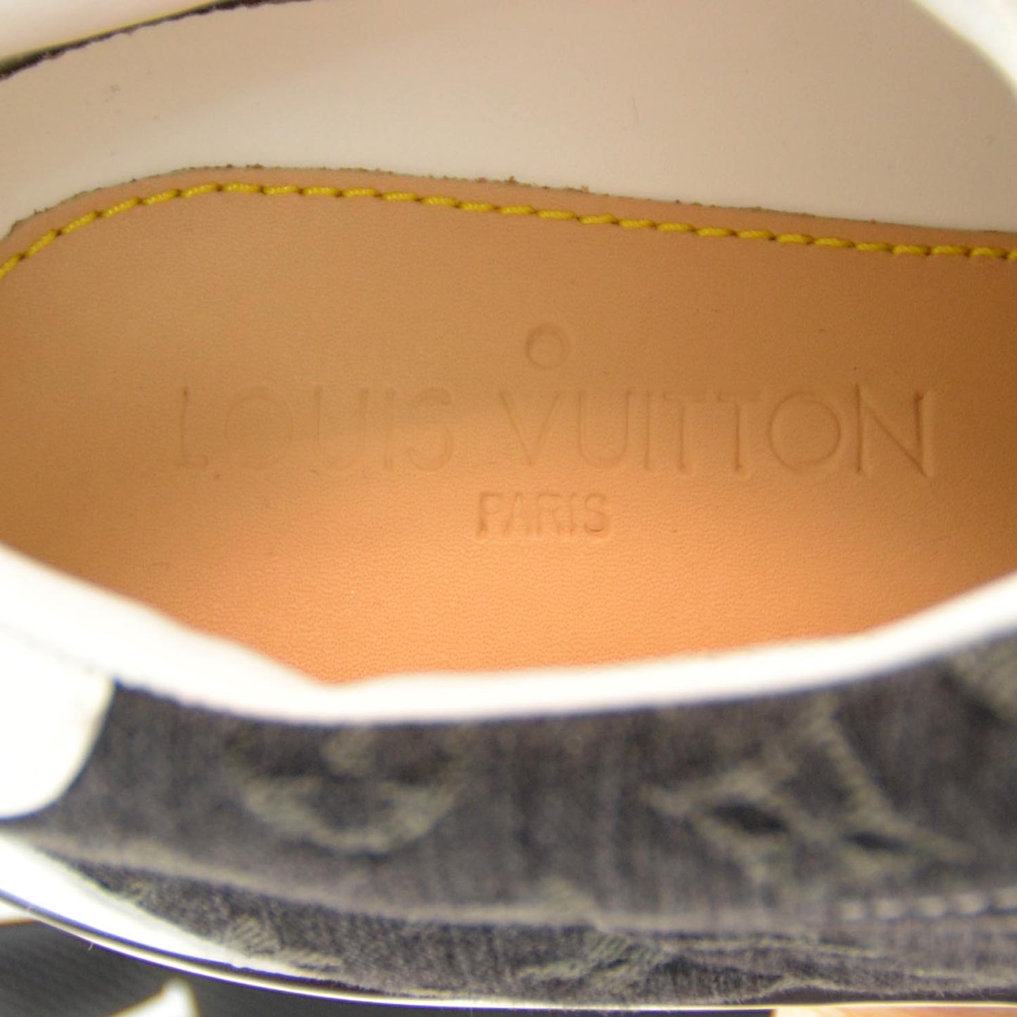 Denim Monogram Skate Low Sneakers 10