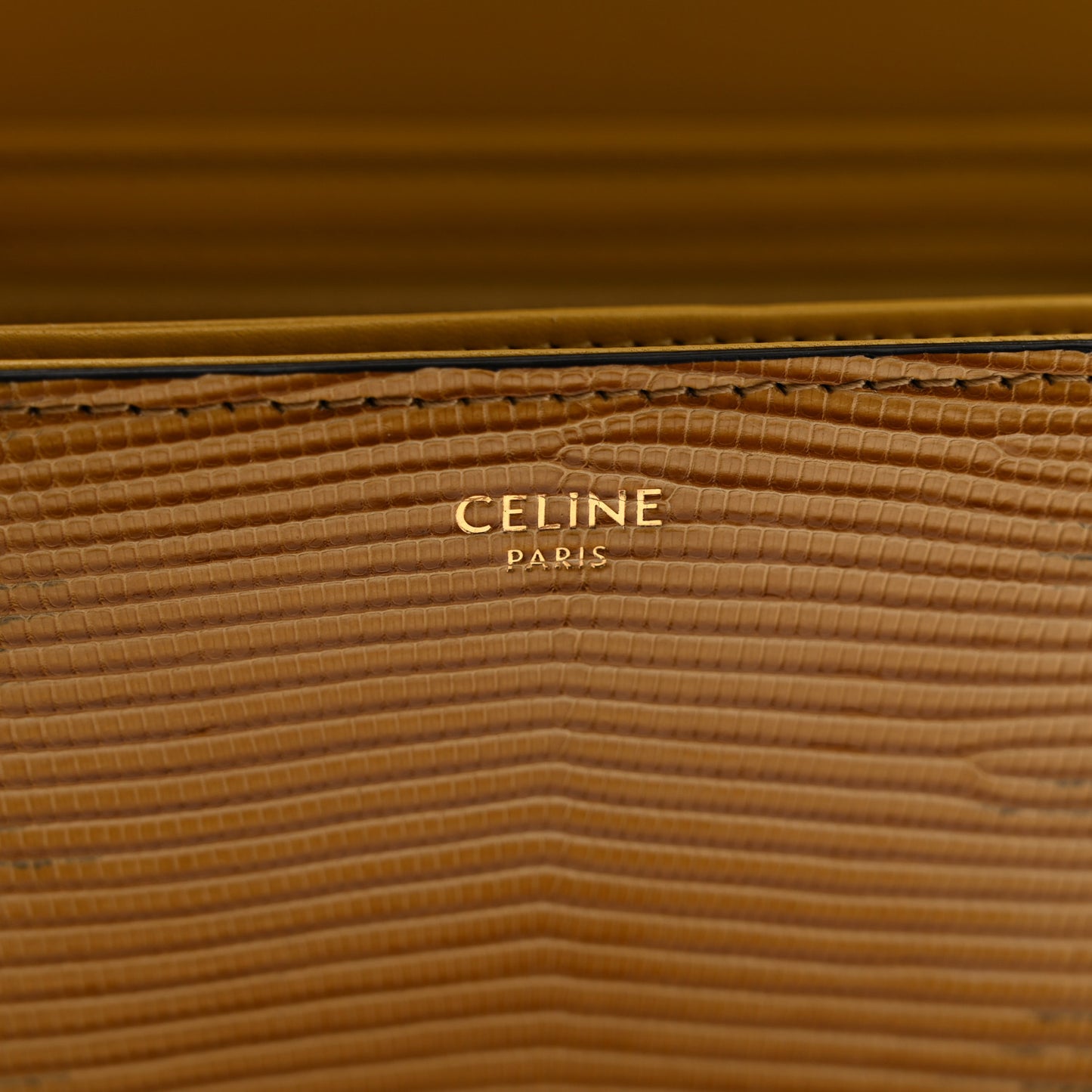 Lizard Teen Triomphe Ochre