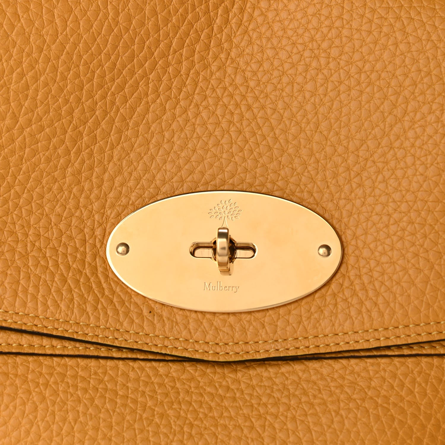Mulberry Heavy Grain Oversized Alexa Deep Amber 7 of 9