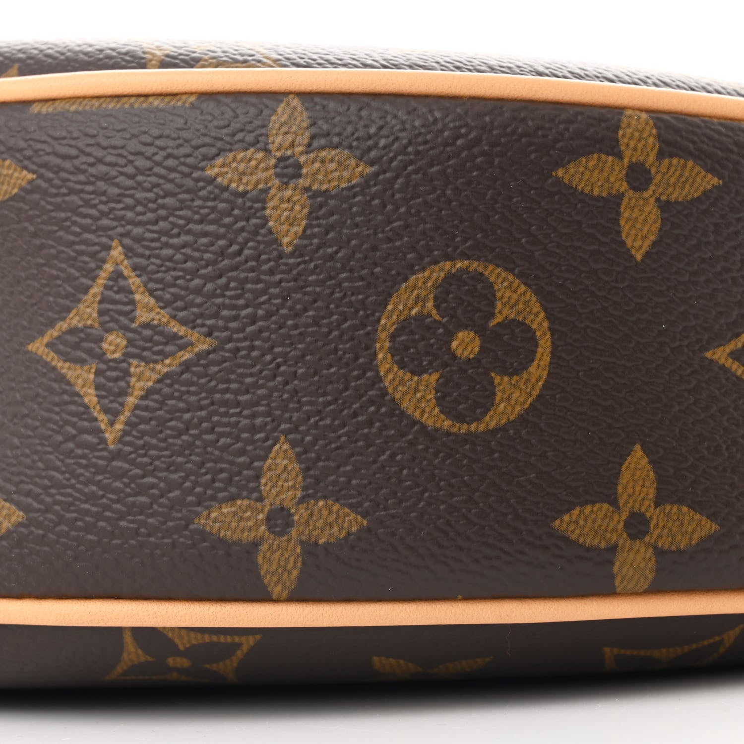 Louis Vuitton Monogram Loop 9 of 9