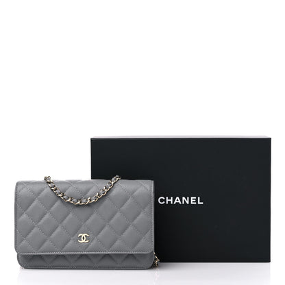 Chanel Caviar Quilted Wallet On Chain WOC Grey 11 of 11
