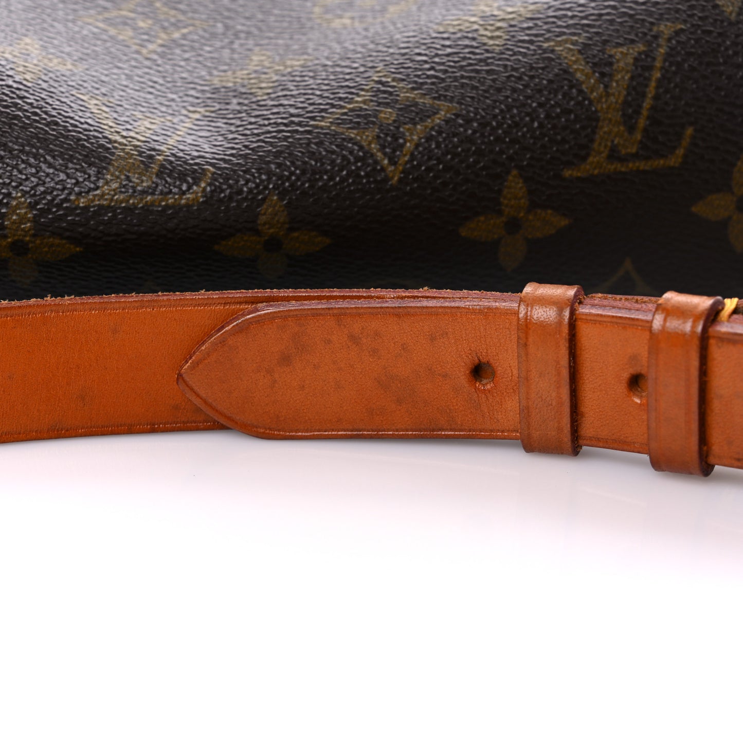 Monogram Cartouchiere 22