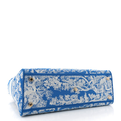 Christian Dior Toile de Jouy Embroidered Large Lady D-Lite Fluorescent Blue 4 of 14