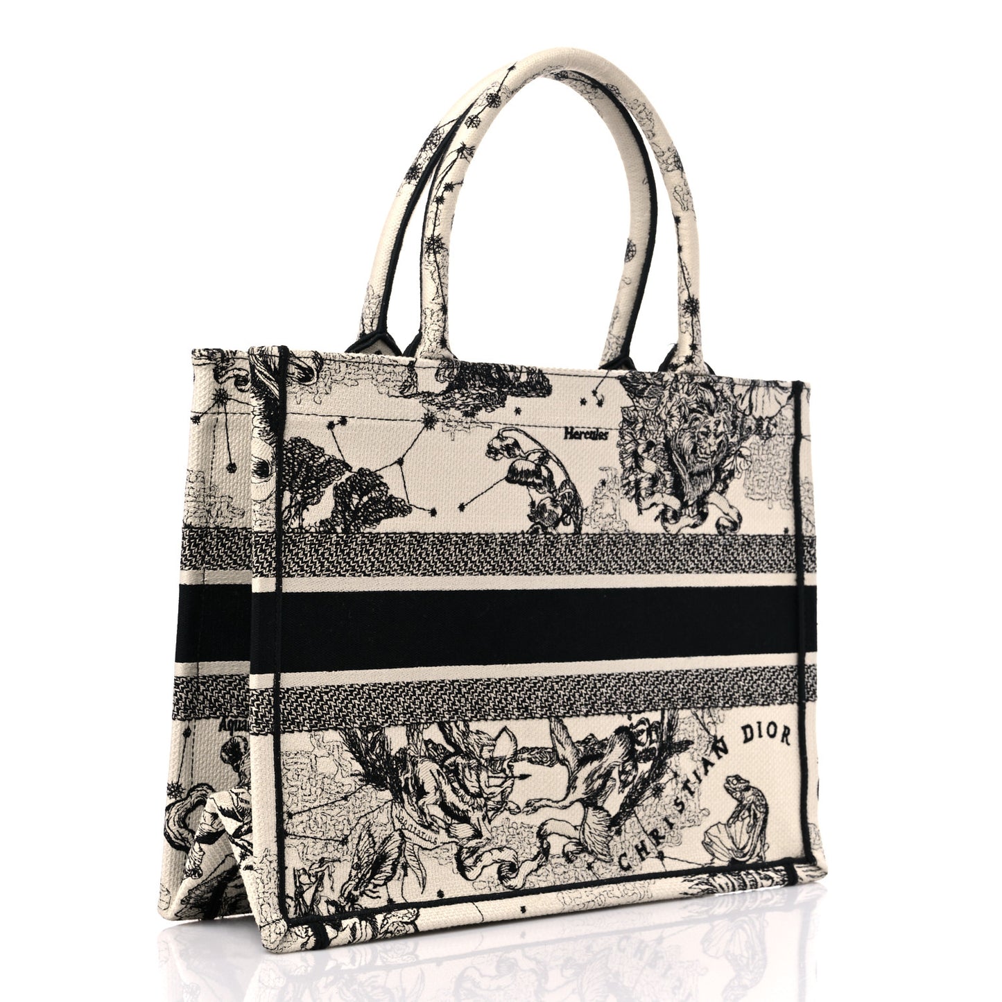Canvas Zodiac Toile De Jouy Embroidered Medium Book Tote Latte