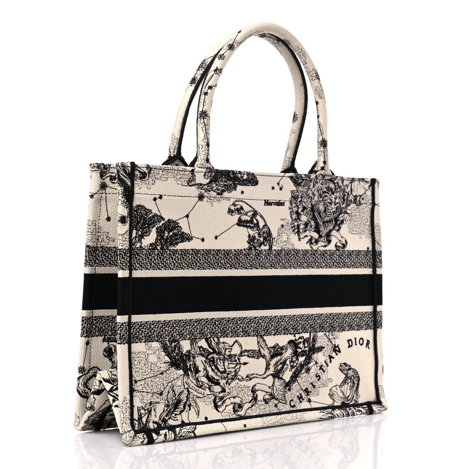 Christian Dior Canvas Zodiac Toile De Jouy Embroidered Medium Book Tote Latte 3 of 10