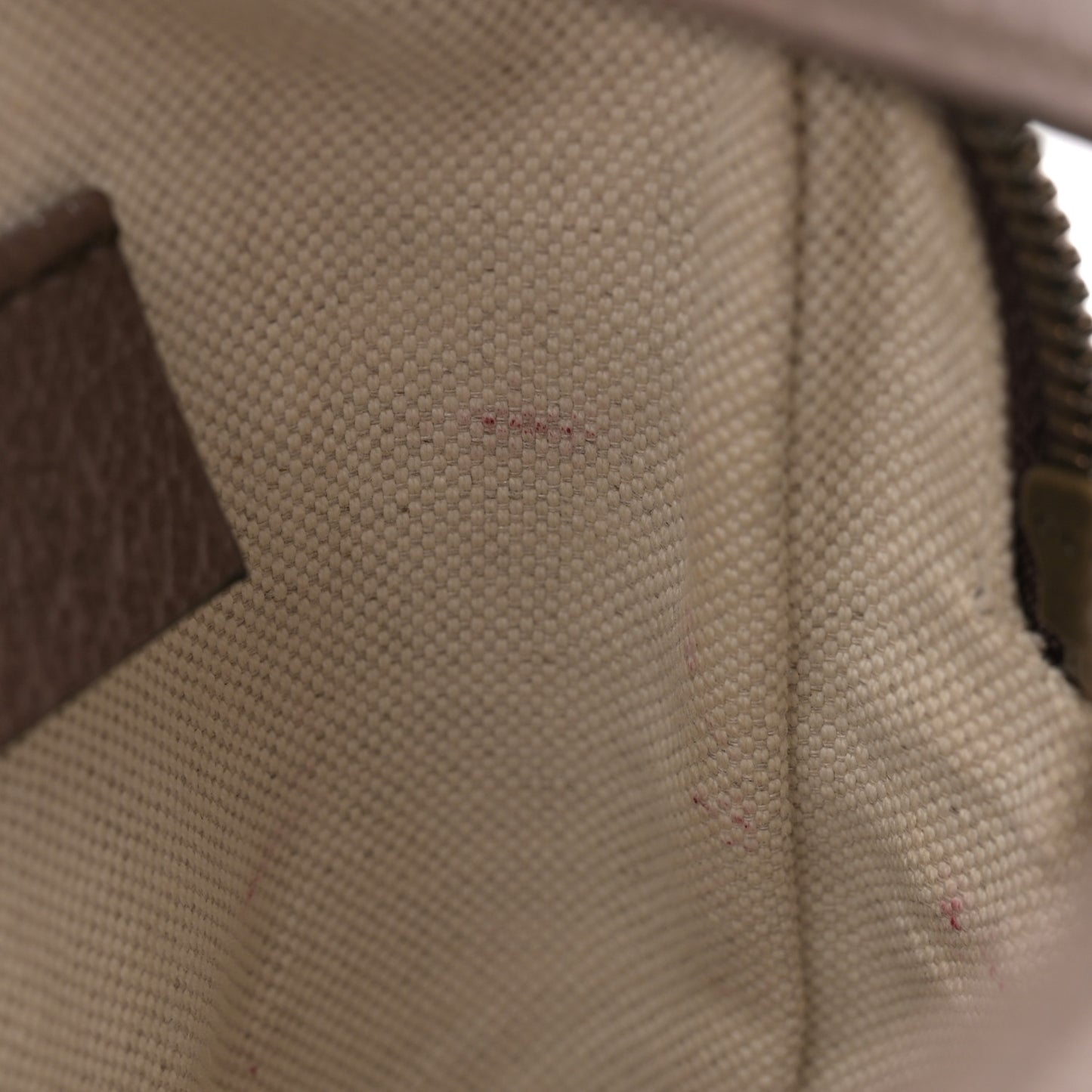 GG Supreme Monogram Web Mini Ophidia Messenger Brown