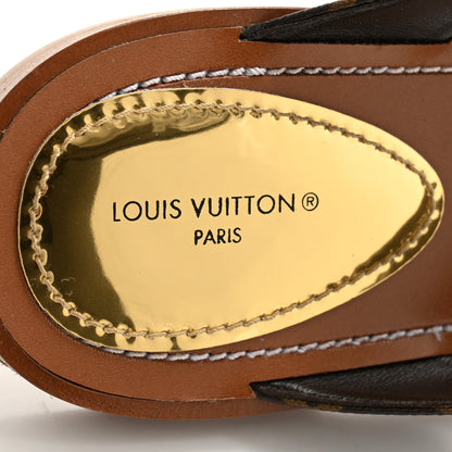 Louis Vuitton Monogram Sunny Flat Thong Sandals 41 Brown 6 of 10