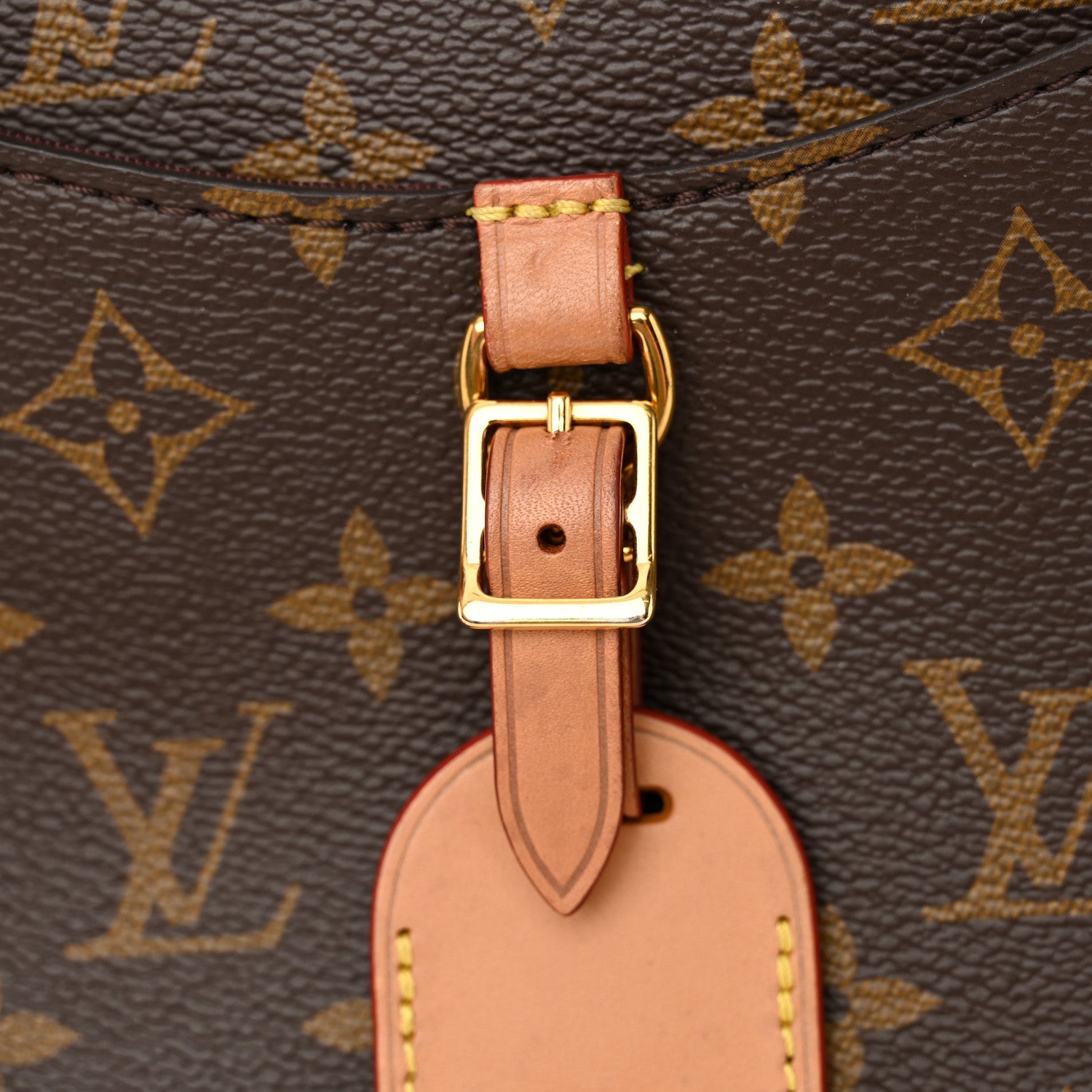 Louis Vuitton Monogram Odeon PM Natural 12 of 12