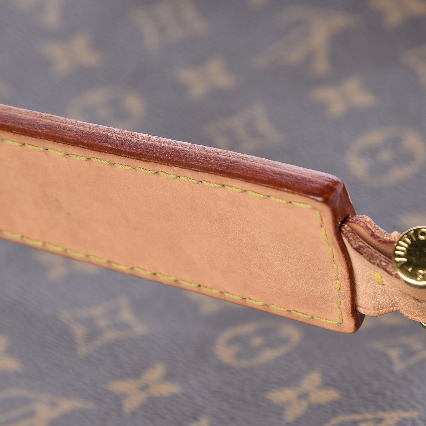 Monogram Sully MM