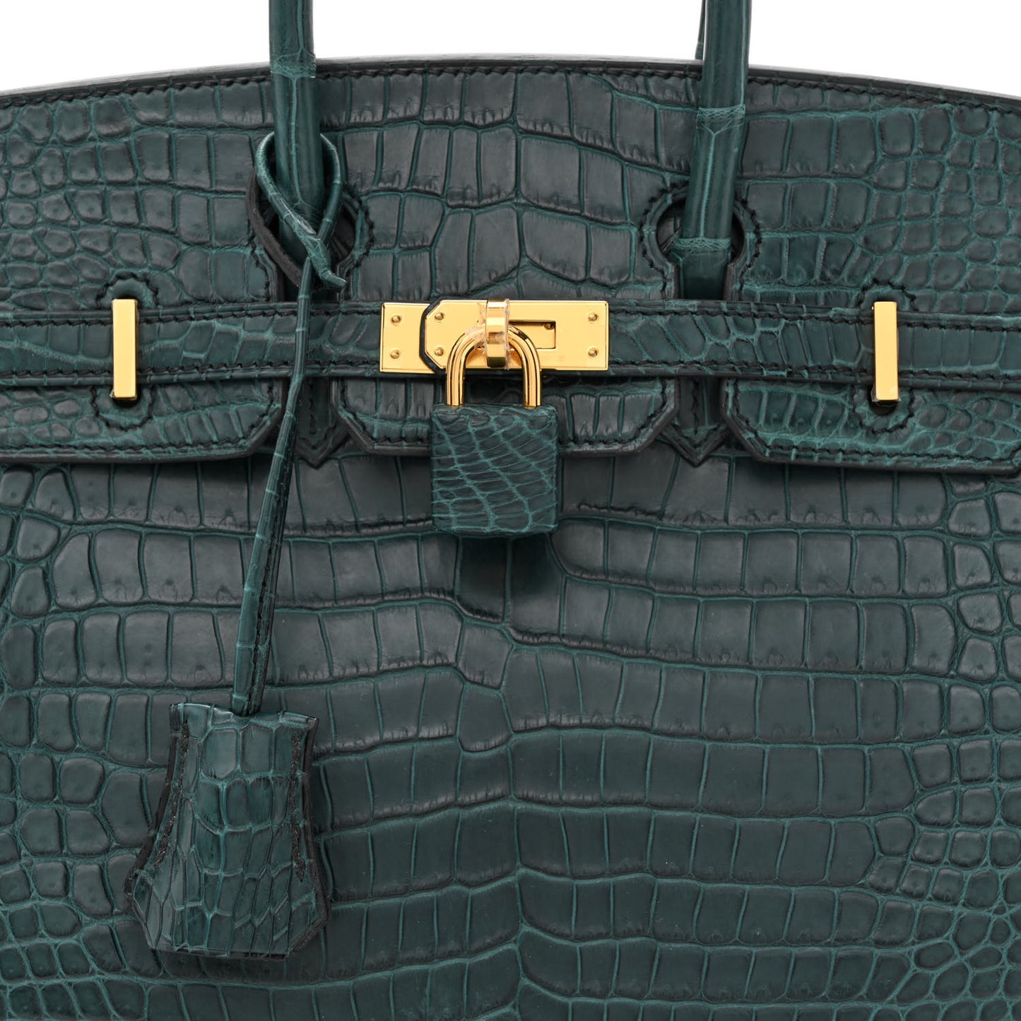 Matte Porosus Crocodile Birkin 25 Vert Rousseau