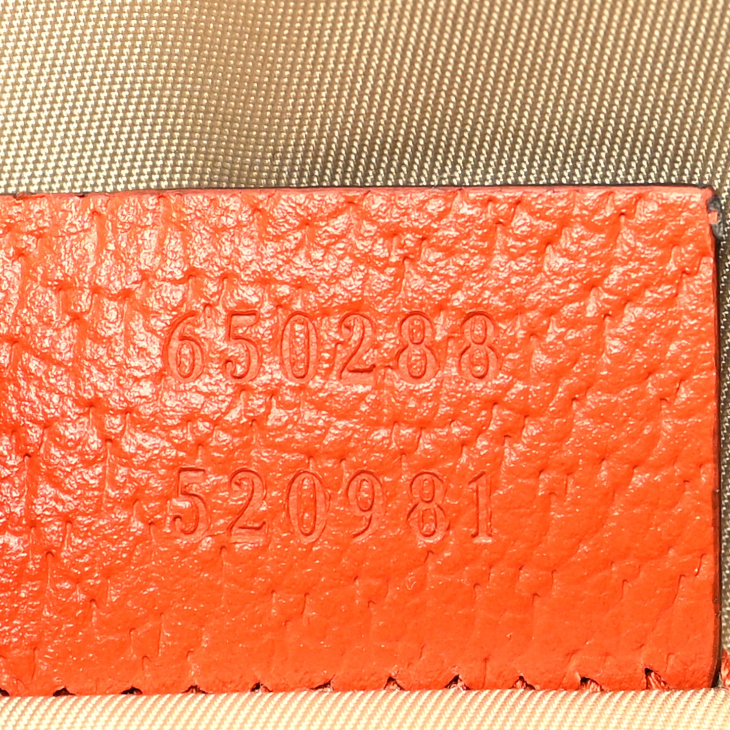 X THE NORTH FACE Monogram Textured Dollar Calfskin Embroidered Beige Ebony Mystic White Deep Orange