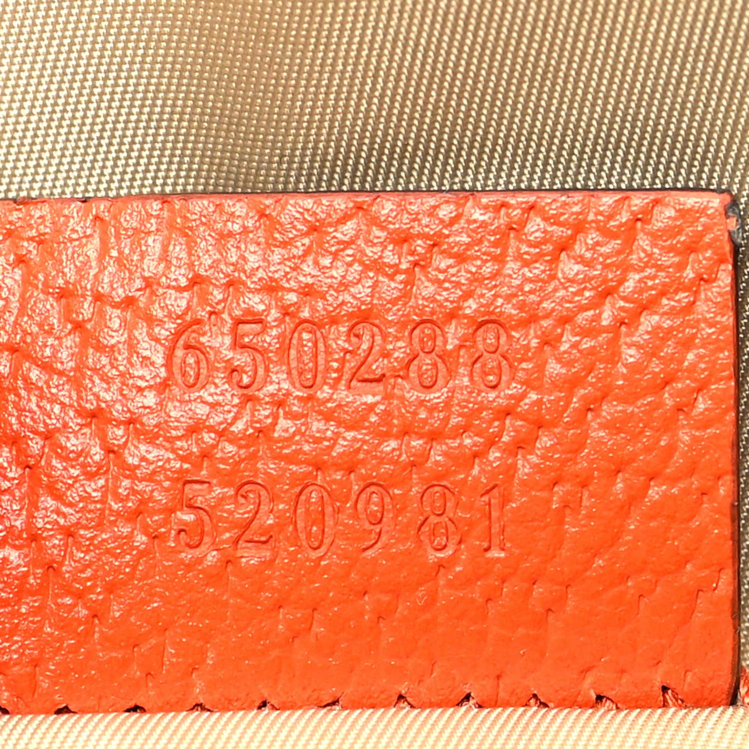 Gucci X THE NORTH FACE Monogram Textured Dollar Calfskin Embroidered Beige Ebony Mystic White Deep Orange 7 of 10