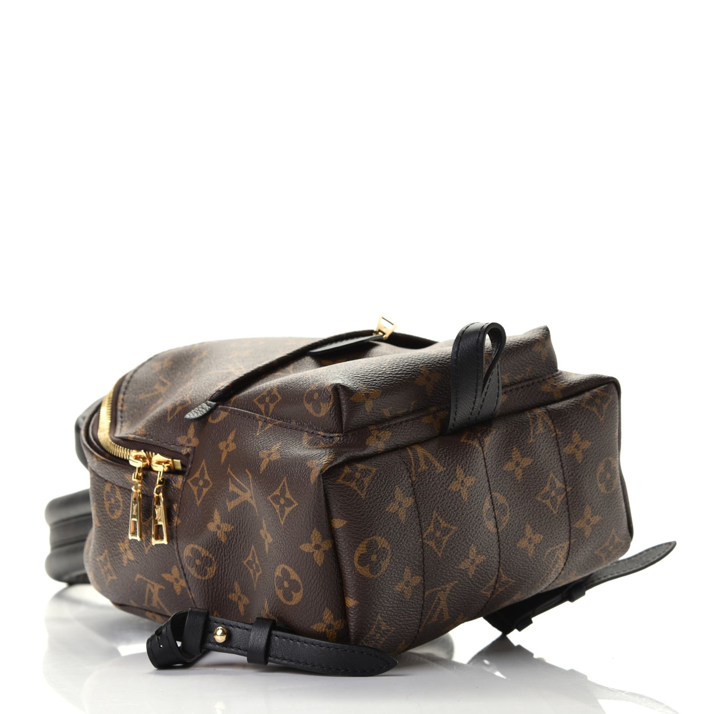 Monogram Palm Springs Backpack PM
