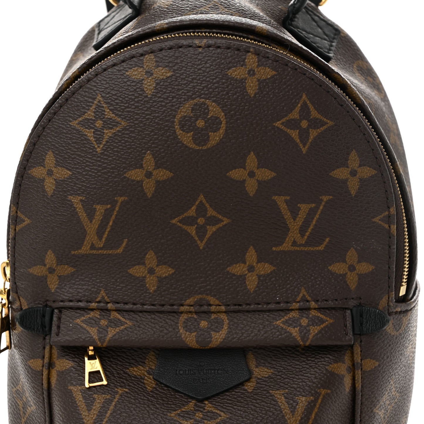 Monogram Palm Springs Backpack Mini