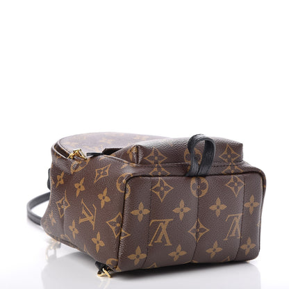 Louis Vuitton Monogram Palm Springs Backpack Mini 5 of 14