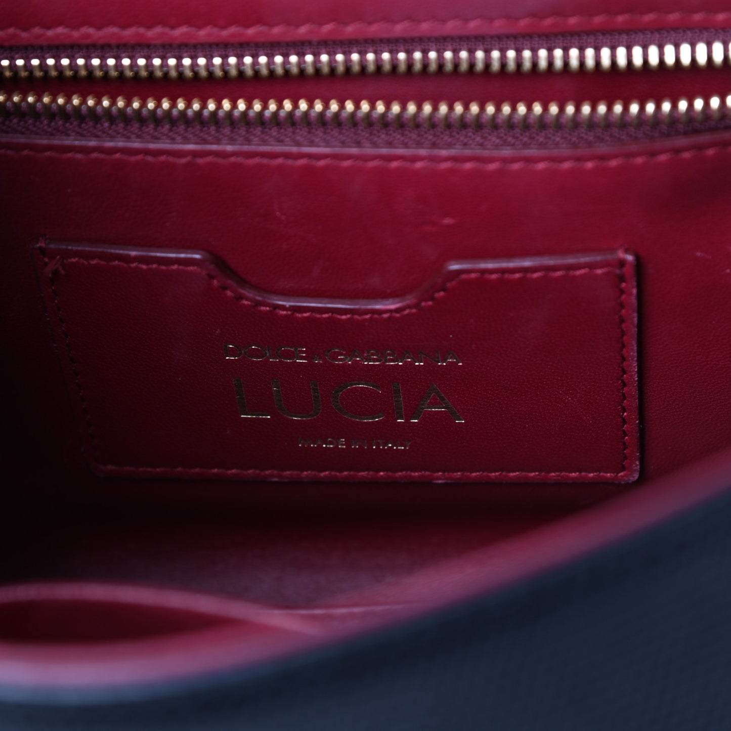 Calfskin Iguana Embossed Small Lucia Satchel Black