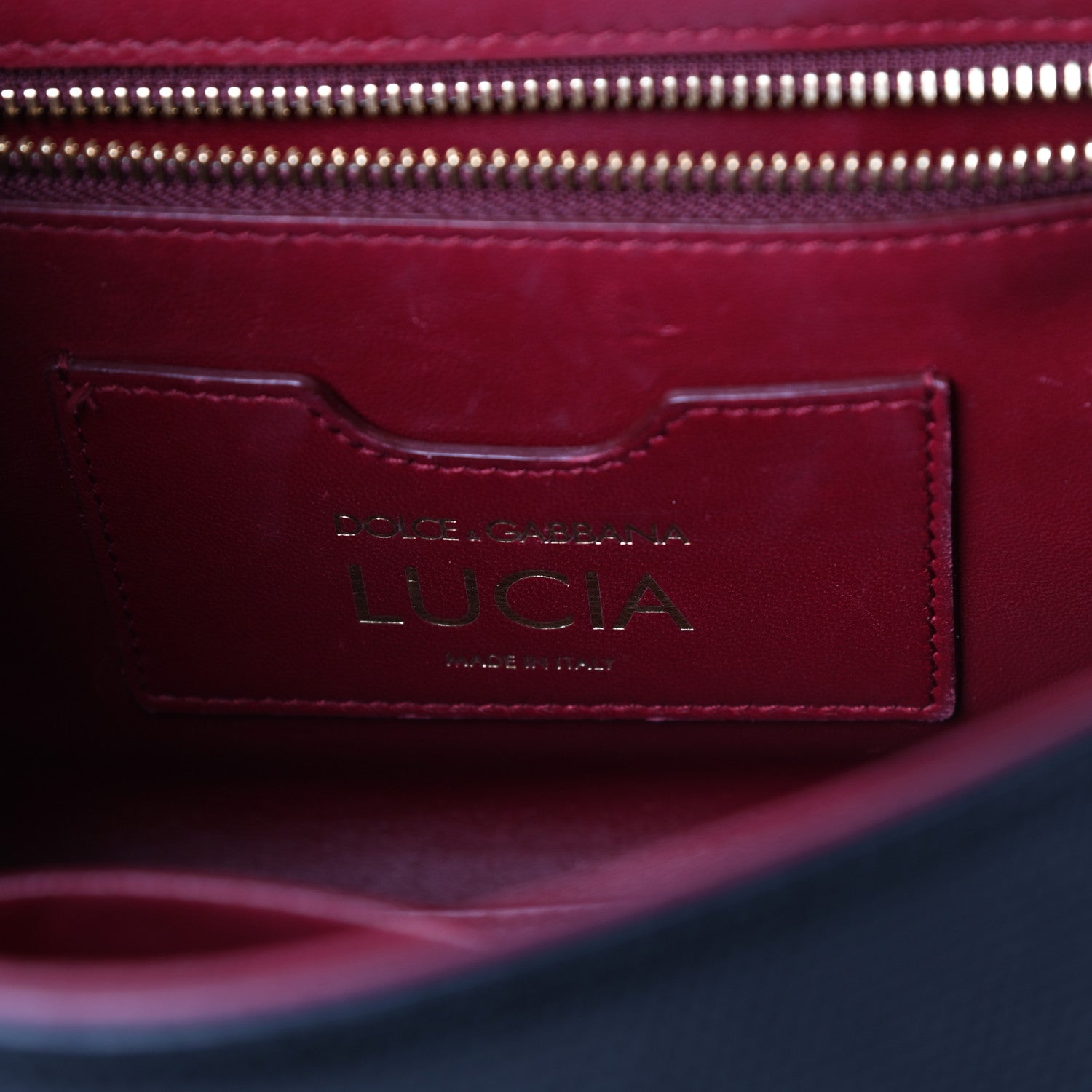 Dolce & Gabbana Calfskin Iguana Embossed Small Lucia Satchel Black 6 of 10