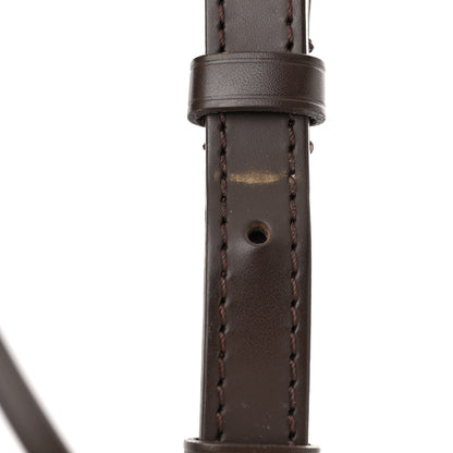 Louis Vuitton Damier Ebene Siena PM 12 of 13