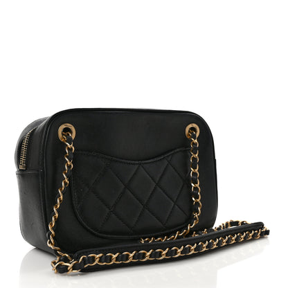 Chanel Goatskin Quilted Chanel 19 Camera Case Black 3 of 9