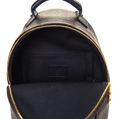 Louis Vuitton Monogram Palm Springs Backpack Mini 4 of 4