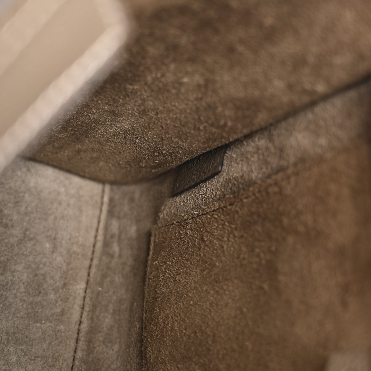 Drummed Calfskin Nano Luggage Souris