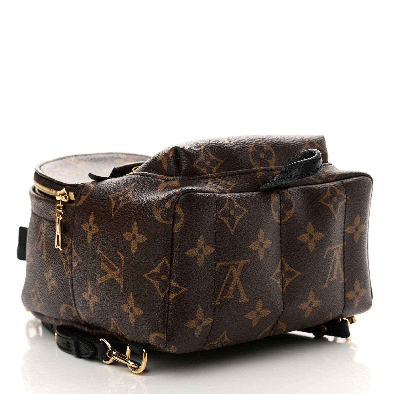 Louis Vuitton Monogram Palm Springs Backpack Mini 3 of 11