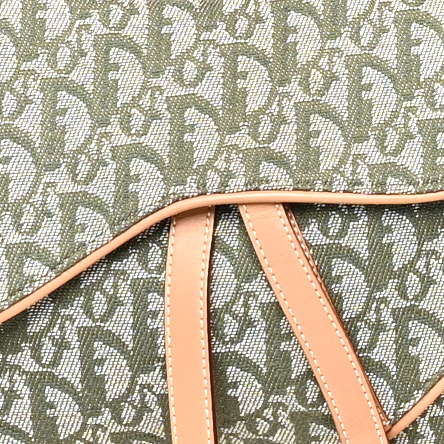 Christian Dior Monogram Double Saddle Bag Green 7 of 9