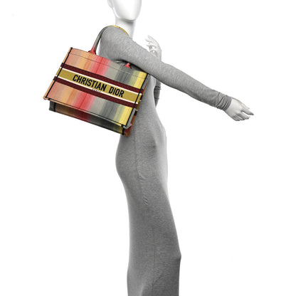 Christian Dior Canvas Embroidered Medium Dioraura Book Tote Multicolor 2 of 18