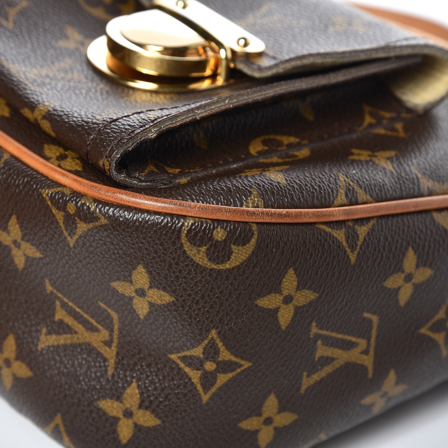 Louis Vuitton Monogram Hudson GM 8 of 15