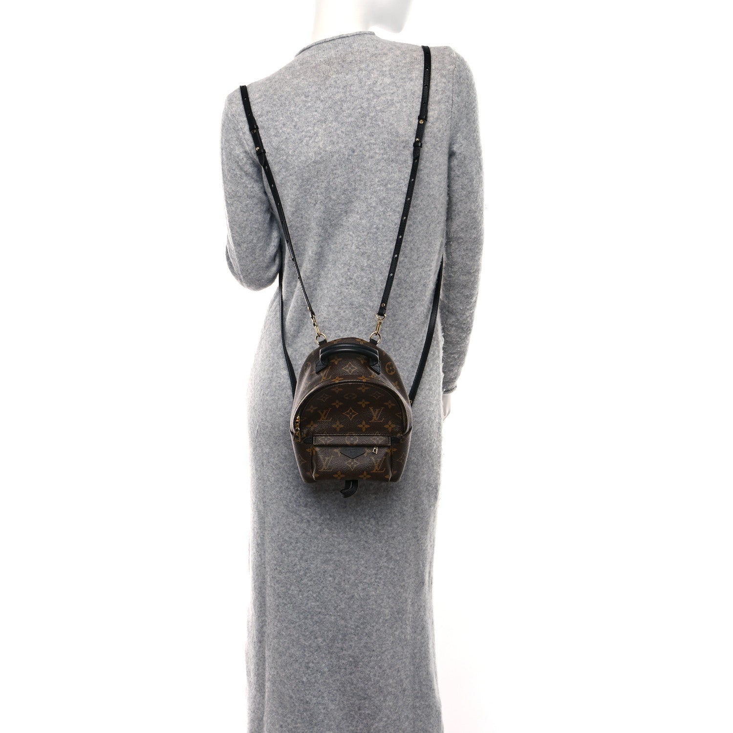 Louis Vuitton Monogram Palm Springs Backpack Mini 2 of 9