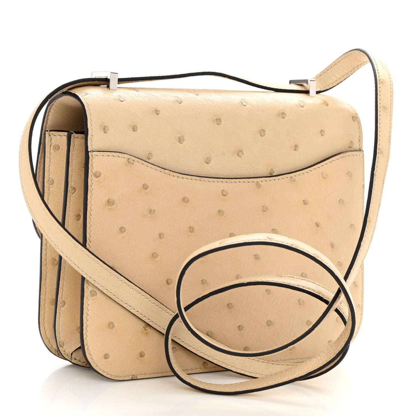 Ostrich Constance 18 Parchemin