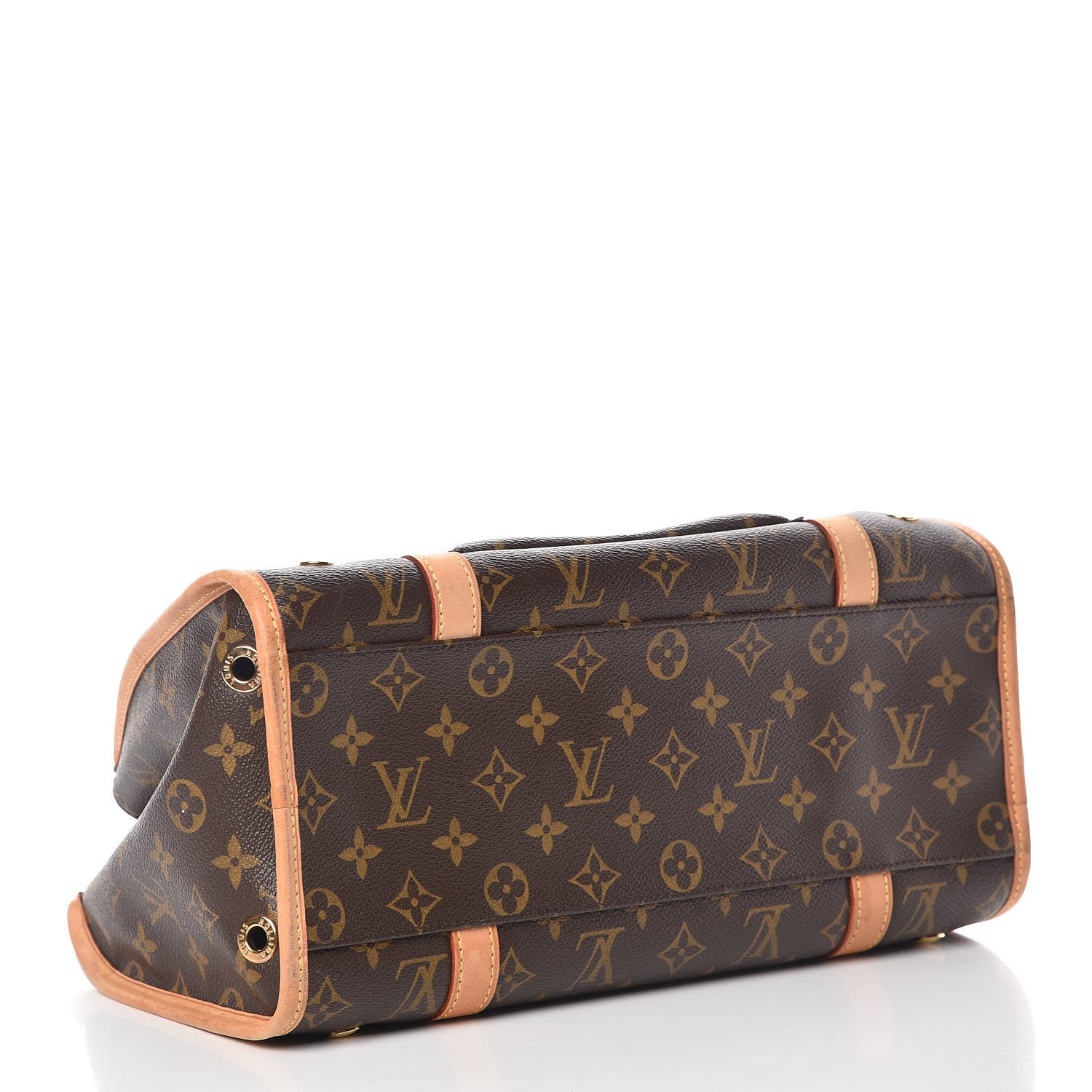 Louis Vuitton Monogram Baxter PM Dog Pet Carrier 4 of 12