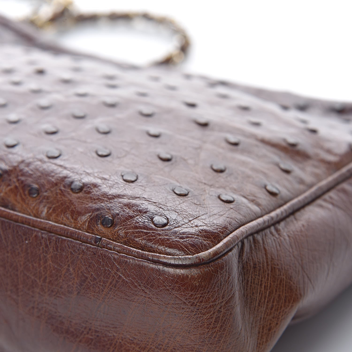 Chanel Ostrich Tassel Camera Case Brown 24 of 24