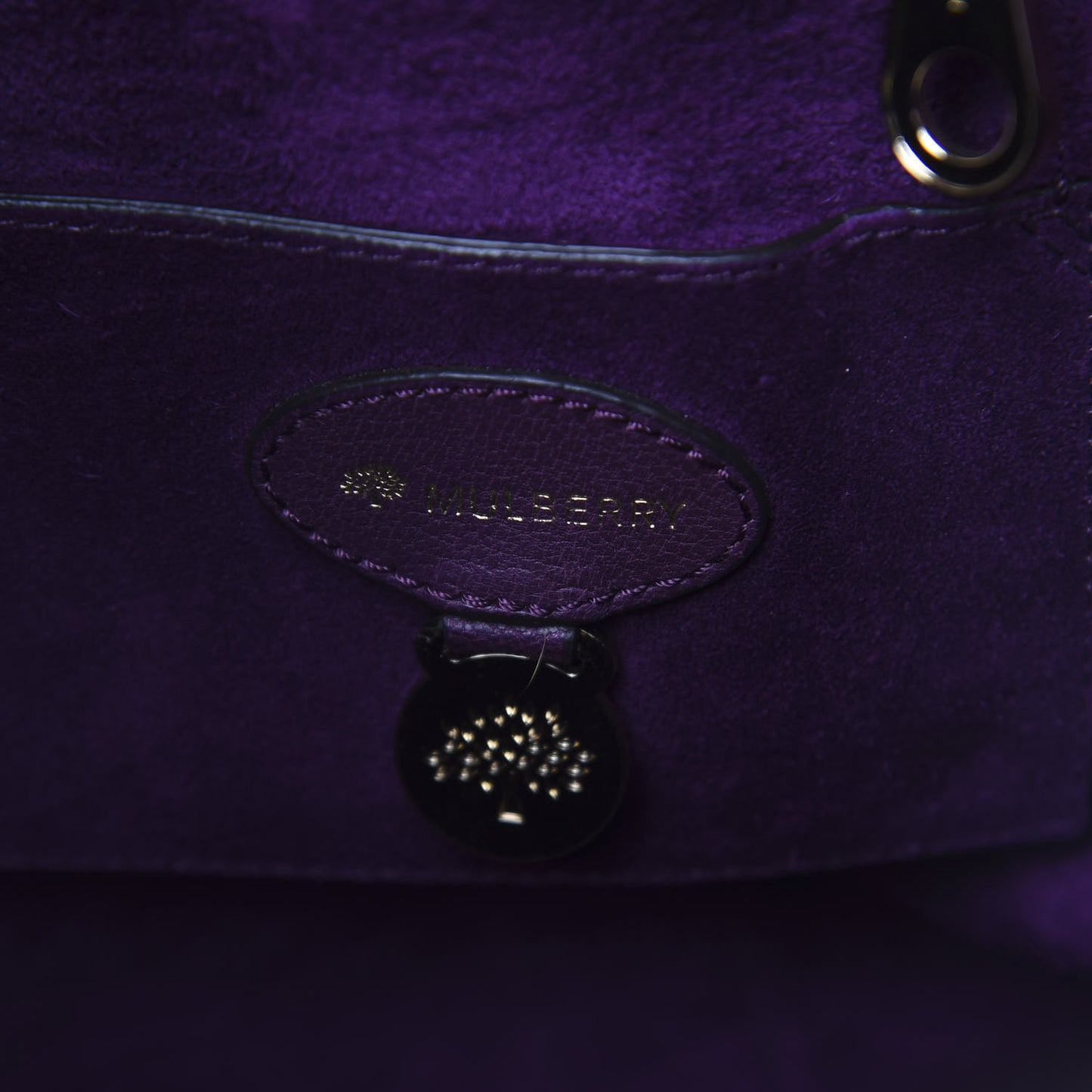 Goatskin Bayswater Aubergine