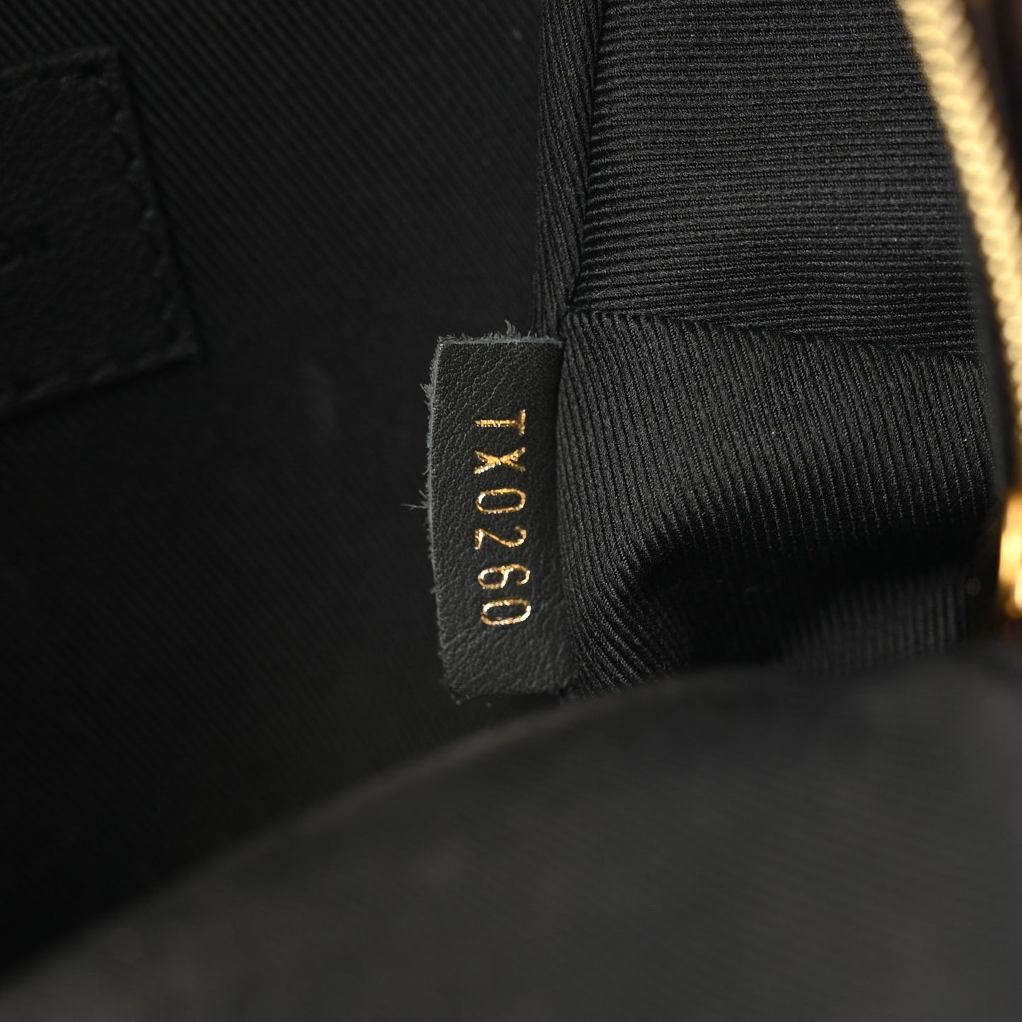 Monogram Palm Springs Backpack Mini