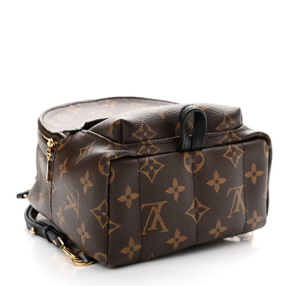 Louis Vuitton Monogram Palm Springs Backpack Mini 4 of 9