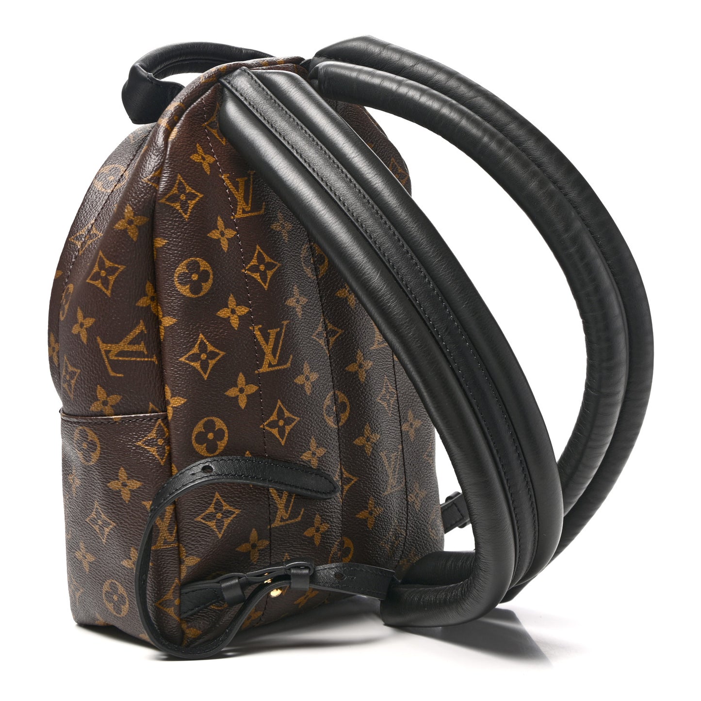 Monogram Palm Springs Backpack PM