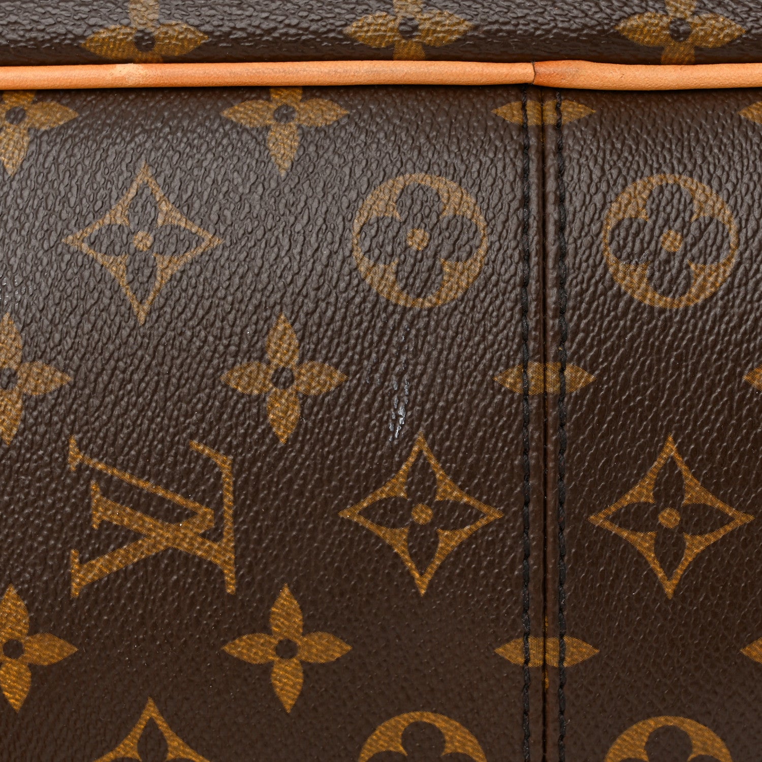 Louis Vuitton Monogram Delightful PM 12 of 19